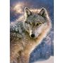 Puzzle Castorland 500el Samotny Wilk - 3